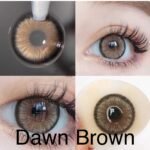 عدسة  Dawn Brown