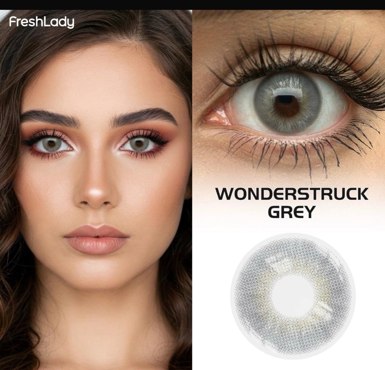 screenshot-66 عدسة
WONDERSTRUCK
GREY - الصورة 1