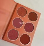 ⁦باليت بلشر من شيجلام⁩ - الصورة ⁦2⁩