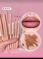 ⁦محددات شيجلام⁩ - الصورة ⁦6⁩